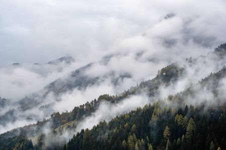 Mystic cloudy and foggy autumn alpine mountain slopes scene.