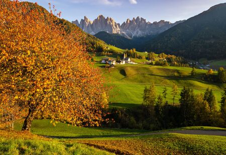 Autumn evening Santa Magdalena famous Italy Dolomites village view in front of the Geisler or Odle Dolomites mountain rocks.の写真素材