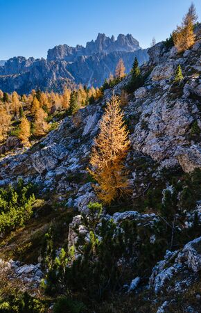 Sunny picturesque autumn alpine Dolomites rocky mountain view from hiking path from Giau Pass to Cinque Torri (Five pillars or towers) rock famous formation, Sudtirol, Italy.の写真素材
