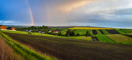 Spring rapeseed and small farmlands fields after rain evening view, cloudy pre sunset sky with...