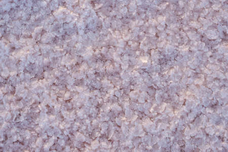 Crystals of pink salt natural background. Genichesk extremely salty lake (colored by microalgae with...