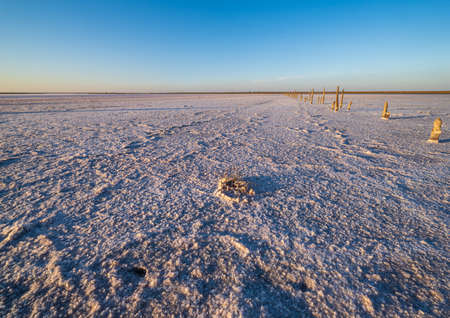 Sunset on the Genichesk pink extremely salty lake (colored by microalgae with crystalline salt...