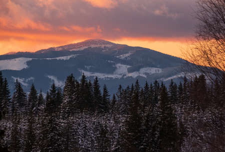 Winter sunset alpine top  view from mountain village and fir forest in front. Picturesque seasonal, nature and countryside beauty concept scene.の写真素材
