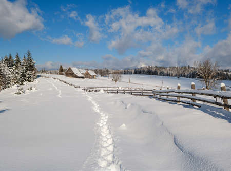 Countryside hills, groves and farmlands in winter remote alpine mountain villageの素材 [FY310158997109]