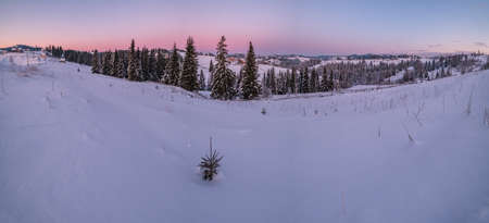 Small and quiet alpine village and winter sunrise snowy mountains around, Voronenko, Carpathian,...