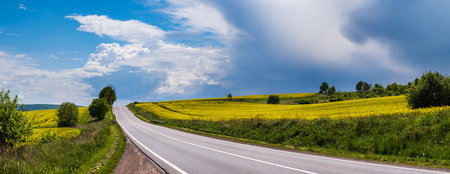 Road through spring rapeseed yellow blooming fields panoramic view, blue sky with clouds in sunlight. Natural seasonal, good weather, climate, eco, farming, countryside beauty concept.の写真素材
