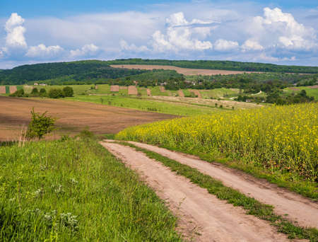 Spring countryside view with dirty road, rapeseed yellow blooming fields, village, hills. Ukraine,...