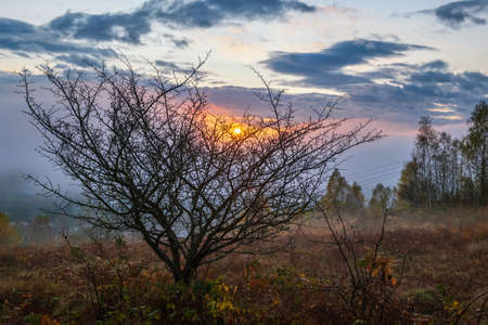 Cloudy and foggy autumn mountain sunrise scene. Peaceful picturesque traveling, seasonal, nature and countryside beauty concept scene.の写真素材