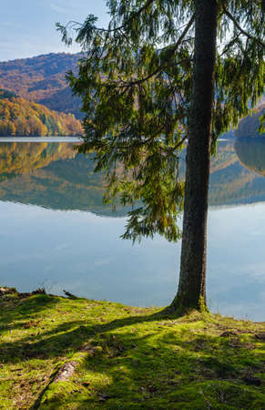 Forest meadow on shore of picturesque lake. Vilshany water reservoir on the Tereblya river,...
