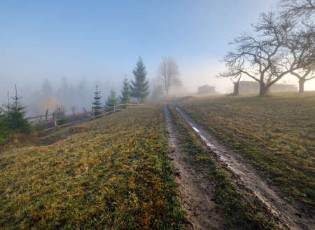 Foggy autumn mountain sunrise scene. Peaceful picturesque traveling, seasonal, nature and countryside beauty concept scene.の写真素材