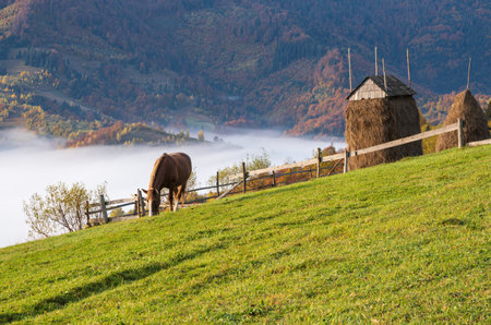Morning foggy clouds in autumn mountain countryside.  Ukraine, Carpathian Mountains, Transcarpathia. Peaceful picturesque traveling, seasonal, nature and countryside beauty concept scene.の写真素材