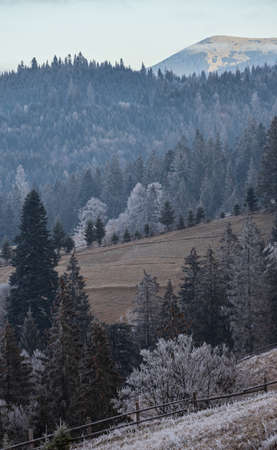 Winter coming. Picturesque foggy and moody morning scene in late autumn mountain countryside with...