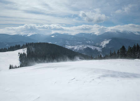Winter remote alpine mountain village outskirts, countryside hills, groves and farmlands. Extremely windy day.の写真素材