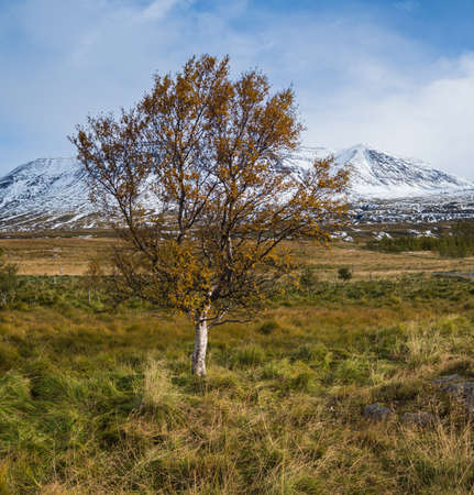Beautiful mountain view during auto trip in North Iceland. Spectacular Icelandic landscape with  scenic nature: mountains, fields, clouds, glaciers, rocks, groves.の写真素材