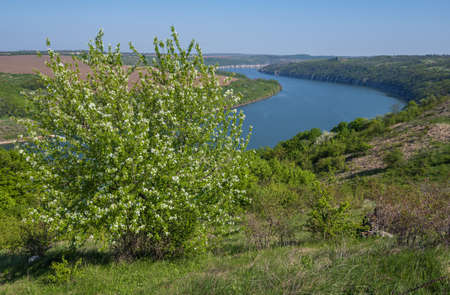 Amazing spring view on the Dnister River Canyon with picturesque rocks, fields, flowers. This place named Shyshkovi Gorby,  Nahoriany, Chernivtsi region, Ukraine.の写真素材
