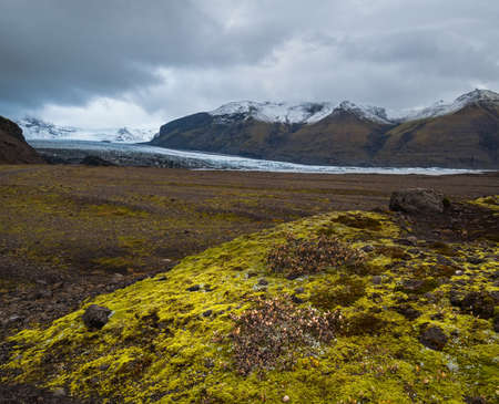 Iceland autumn tundra landscape near Haoldukvisl glacier, Iceland. Glacier tongue slides from the Vatnajokull icecap or Vatna Glacier near subglacial Esjufjoll volcano. Not far from Iceland Ring Road.の写真素材