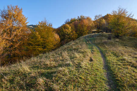 Autumn morning Carpathian Mountains calm picturesque scene, Ukraine. Peaceful traveling, seasonal,...