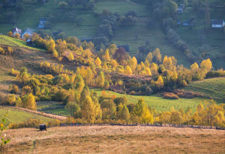 Autumn morning Carpathian Mountains calm picturesque scene, Ukraine. Peaceful traveling, seasonal,...