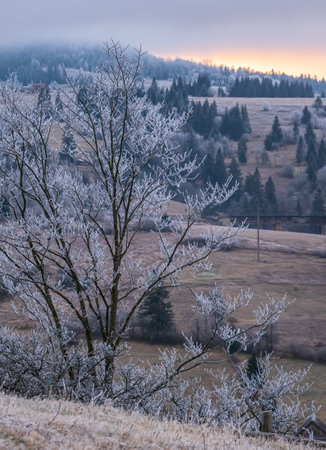 Winter coming. Cloudy and foggy morning very late autumn mountains scene. Peaceful picturesque traveling, seasonal, nature and countryside beauty concept scene. Carpathian Mountains, Ukraine.の写真素材