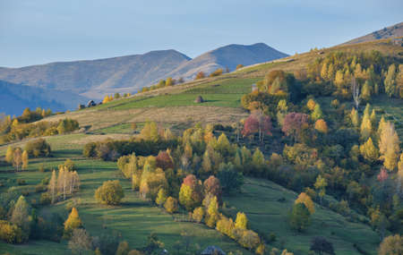 Autumn morning Carpathian Mountains calm picturesque scene, Ukraine. Peaceful traveling, seasonal, nature and countryside beauty concept scene.の写真素材