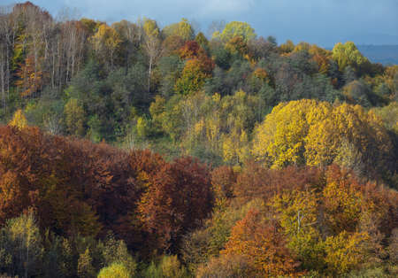 Cloudy morning autumn mountain scene. Peaceful picturesque traveling, seasonal, nature and...