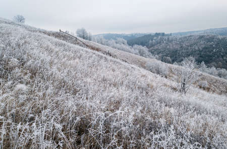 Winter coming. Cloudy and foggy morning very late autumn mountains scene. Peaceful picturesque traveling, seasonal, nature and countryside beauty concept scene. Carpathian Mountains, Ukraine.の写真素材