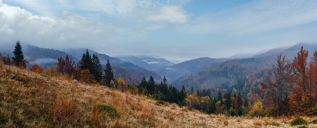 Cloudy and foggy early morning autumn mountains scene. Peaceful picturesque traveling, seasonal, nature and countryside beauty concept scene. Carpathian Mountains, Ukraine.の写真素材