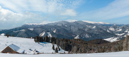 Picturesque snowy winter mountain slope and lone farmhouse on plateau farmstead, Carpathian, Ukraine. Chornohora ridge panorama and Pip Ivan mountain with observatory on top in clouds behind.の写真素材