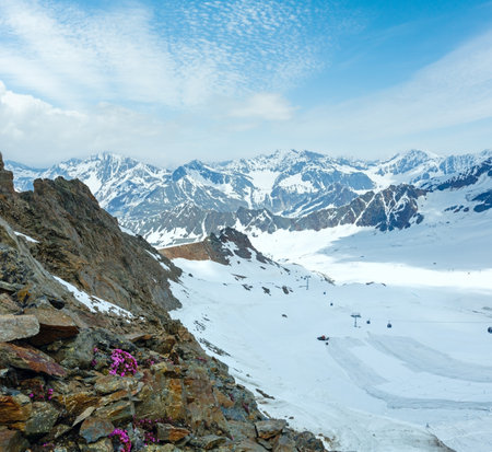 Mountain view from the Karlesjoch bahn upper station (3108m., near Kaunertal Gletscher on Austria-Italy border) with alp flowers  over cable ski liftの写真素材