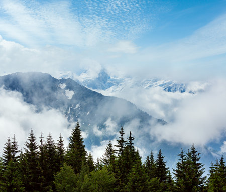 Mont Blanc mountain massif (Chamonix valley, France, view from Plaine Joux outskirts).の写真素材