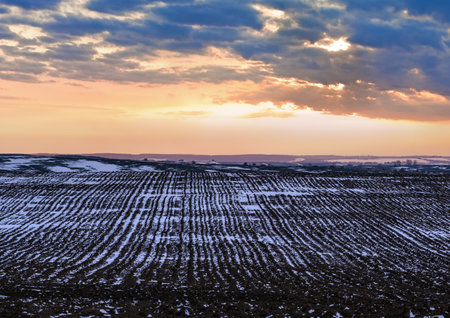 Black earth, arable land covered with the last snow, early spring. Calm evening sunset in the Ukrainian countryside, Lviv region.の写真素材