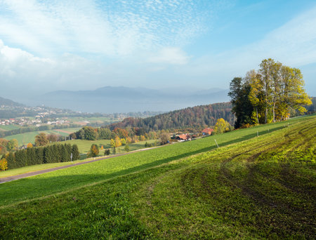 Autumn countryside view with green winter crops on fields, groves end forest, Kronberg, Strass im Attergau, Upper Austria. Attersee lake and town in far.の写真素材