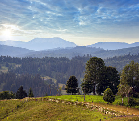 Picturesque summer Carpathian mountain countryside view, Ukraineの写真素材