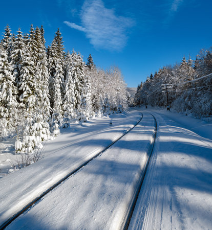 Railway through snowy fir forest and remote alpine helmet in Carpathian mountains, snow drifts  on waysideの写真素材