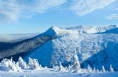 Winter mountain landscape with snowy trees on slope in front (Carpathian, Ukraine)の写真素材