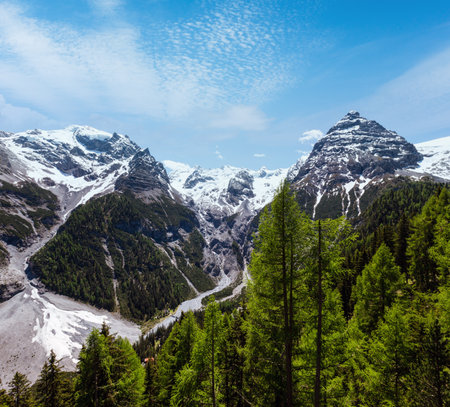 Summer Stelvio Pass with fir forest and snow on mountainside (Italy)の写真素材