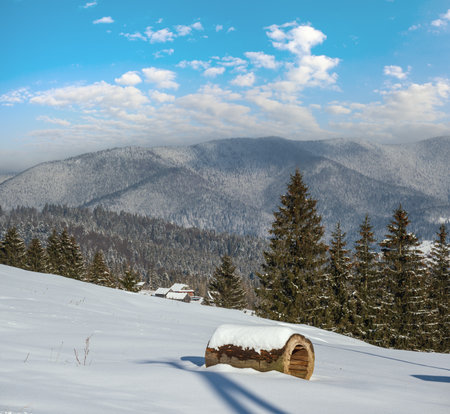 Winter remote alpine mountain village outskirts, countryside hills, groves and farmlands.の写真素材