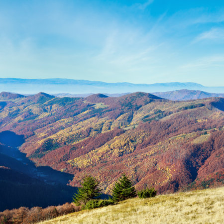 Colorful mountain slopes in autumn Carpathian. Morning misty view.の写真素材