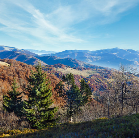 Morning misty autumn Carpathian landscape with colorful trees on slope.の写真素材