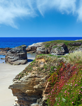 Summer blossoming Atlantic beach Islas (Galicia, Spain) with white sand and pink flowers in front.の写真素材