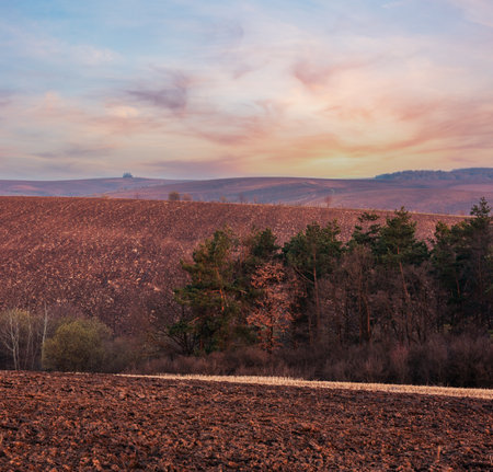 Spring early morning rural country landscape with plowed agricultural fields on hills and groves. Arable and growth farmlands in tender delicate daybreak sunlight.の写真素材