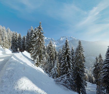 Morning winter mountain landscape with fir forest and country road on slope.の写真素材