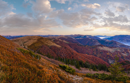 Autumn morning mountain landscape with colorful slopes and mist.の写真素材