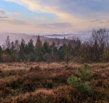 Cloudy and foggy early morning autumn meadow scene. Peaceful picturesque traveling, seasonal, nature and countryside beauty concept scene. Carpathian Mountains, Ukraine.の写真素材