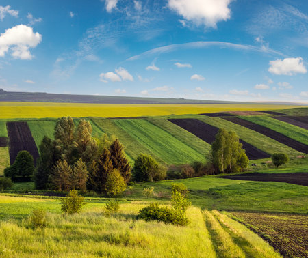 Spring yellow flowering rapeseed  and small farmlands fields, cloudy evening sky and green hills. Natural seasonal, eco, farming, rural countryside beauty concept background.の写真素材