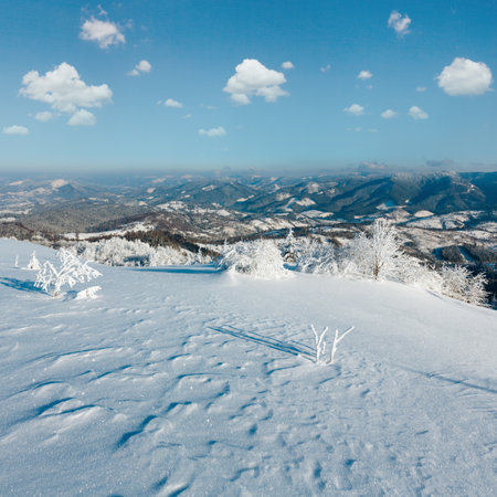 Morning winter calm mountain landscape with beautiful frosting trees and snowdrifts on slope (Carpathian Mountains, Ukraine)の写真素材