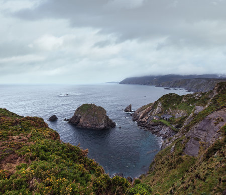 Evening Costa de Loiba landscape with blossoming bushes and rock formations near shore (Asturias, Spain).の写真素材