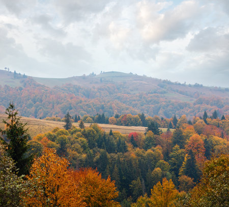 Autumn Carpathian Mountains landscape (Mizhhiria, Zakarpattia Oblast, Ukraine).の写真素材