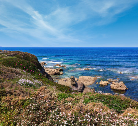 Summer blossoming Atlantic coastline landscape with white and pink flowers (near Los Castros beach, Galicia, Spain).の写真素材