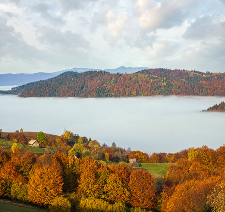 Morning foggy clouds in autumn mountain countryside.  Ukraine, Carpathian Mountains, Transcarpathia. Peaceful picturesque traveling, seasonal, nature and countryside beauty concept scene.の写真素材